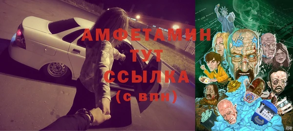 стафф Алзамай
