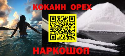 шишки Можга