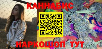 шишки Можга